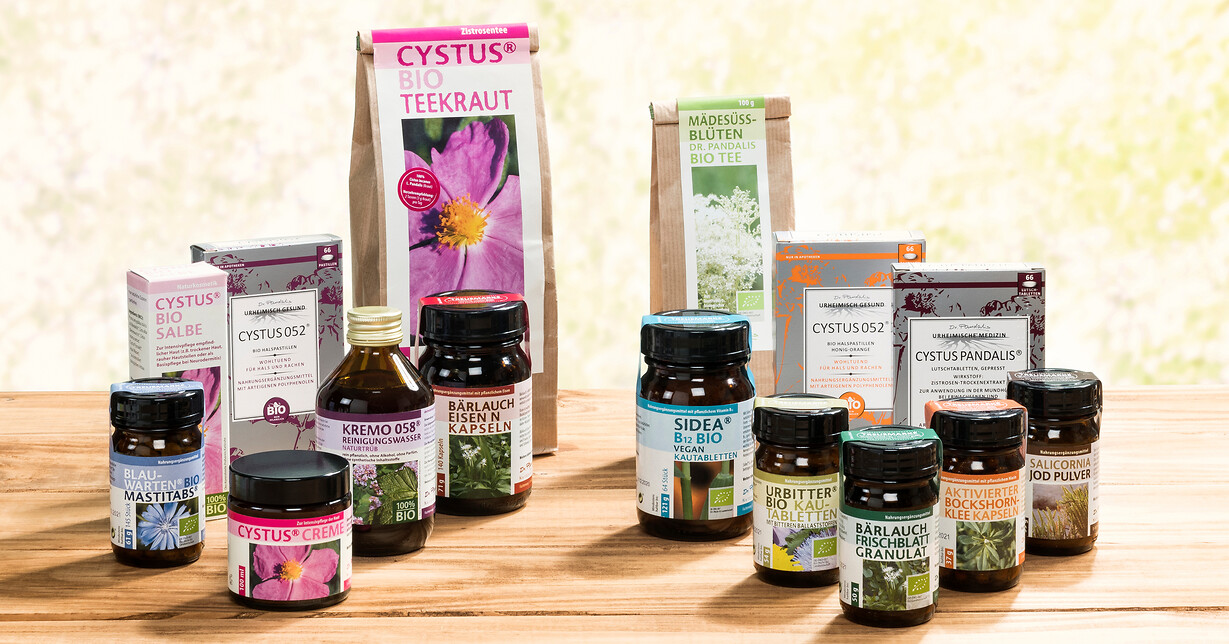  (Foto: Marion Stephan)